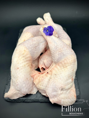 Cuisse de poulet 